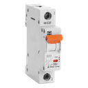 Automaat Teco 1P 63A 10kA Curve C