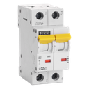 Automaat Teco 2P 25A 10kA Curve D