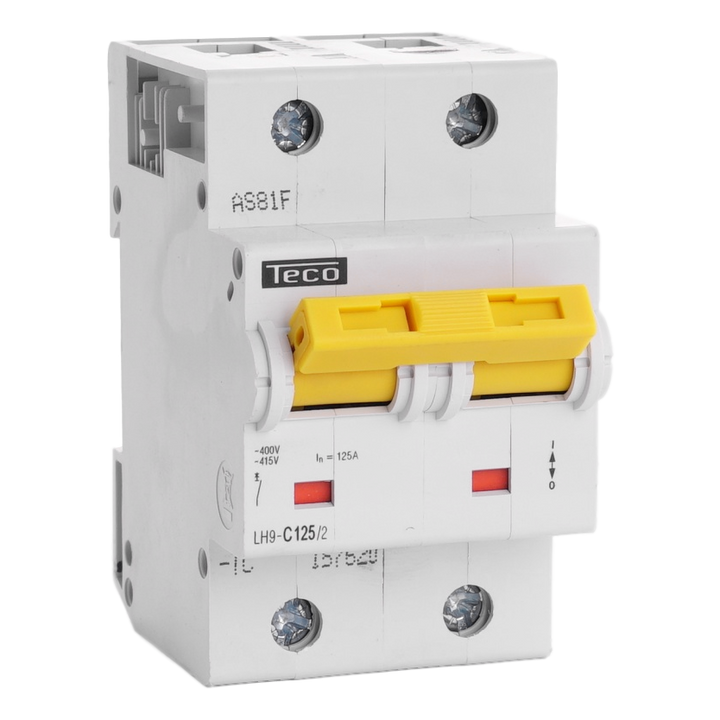 Automaat Teco 2P 125A 15kA Curve C