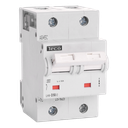 Automaat Teco 2P 50A 25kA Curve D