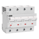 MCB Teco 4P 50A 25kA Curve D