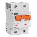 MCB Teco 2P 63A 25kA Curve D