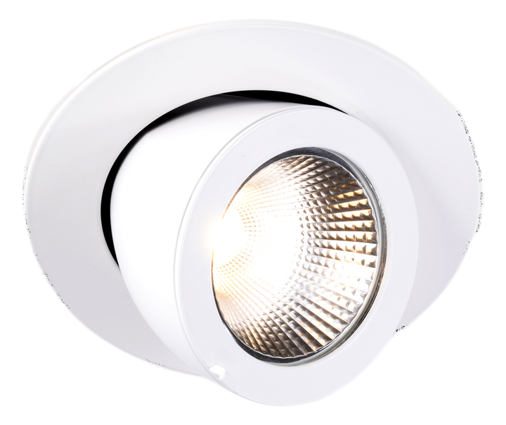 DL Extract.TECO LED SATURNO 6'' 30W 36° 4000K Ra90 sans driver + Vrouw. stek. 15cm