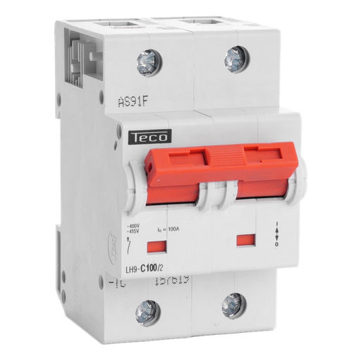 [/LH1002C] Automaat Teco 2P 100A 20kA Curve C