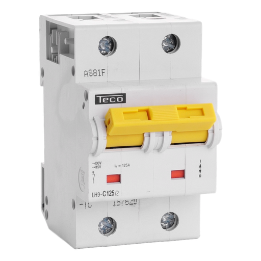 [/LH1252C] Automaat Teco 2P 125A 15kA Curve C